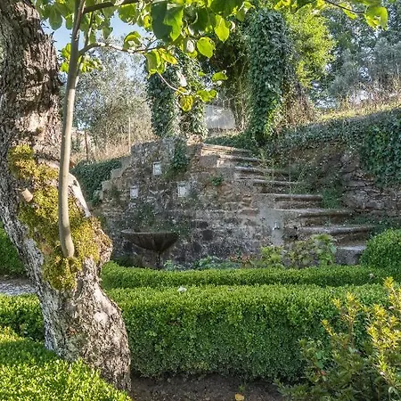 Farm stay Casa Fundeira - Quinta Dos Esconhais *