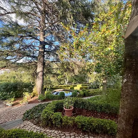 Casa Fundeira - Quinta Dos Esconhais Séjour à la ferme